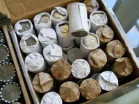DSCN6168.webp