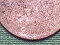 phpY5Ut7PPM.webp