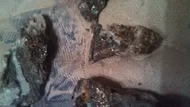 IMG_20130210_211644_241.webp