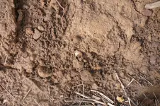 P1100850.webp