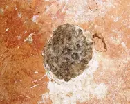 shipwreck flint & balls AB1.webp