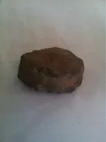 image-356558894.webp
