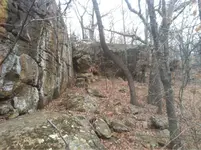 image-2727578280.webp