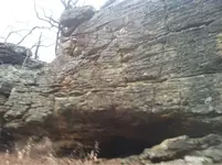 image-3466418773.webp