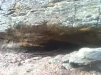 image-3015501064.webp
