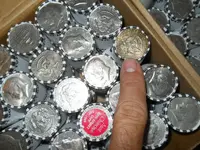 DSCN6033.webp