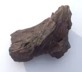 Rock2.webp