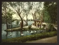 05086v.webp