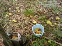 IMAG0021.webp