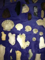 image-4169881799.webp