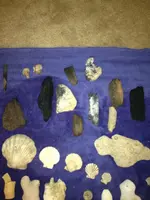 image-2150805591.webp