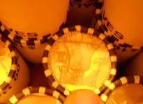 DSCN6100.webp