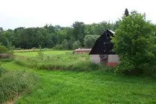 aa0015.webp