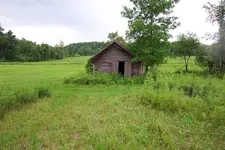 aa0020.webp