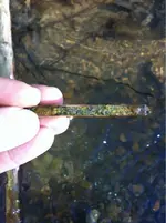 image-3811000405.webp