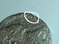 DSCF2132.webp