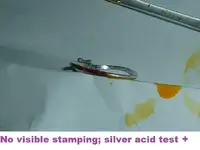 DSCF2120.webp