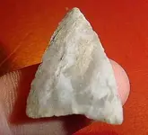 25414_385479833889_584934_n.webp