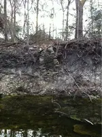 image-3350981994.webp