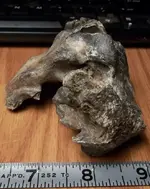 100_1132 (509x640).webp