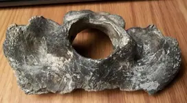 100_1129 (640x354).webp