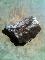 image-2292269065.webp
