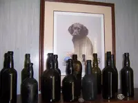 63032_1436098830241_4591723_nblack glass.webp