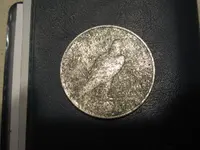 rsz_1peace_dollarN_002.webp