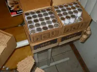 DSCN6136.webp