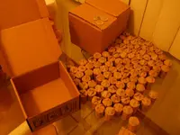 DSCN6139.webp