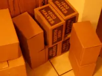 DSCN6140.webp