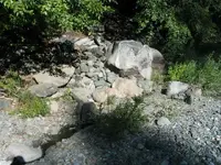 184_8418.webp