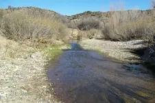 100_0147_zpsc2d09c11.webp