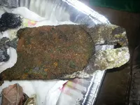 20130222_163113.webp