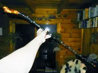 DSCN0653.webp