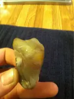 image-2012104620.webp