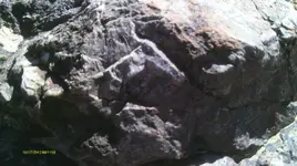 IMAG0392 (3).webp