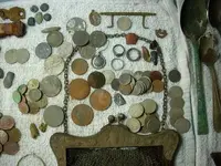 Spanish Cobb (1).webp