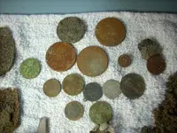DSCN0213.webp
