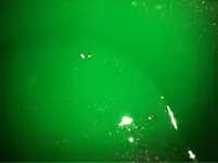 image-378285653.webp