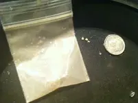 felix Pay dirt .webp