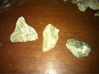 image-103704152.webp