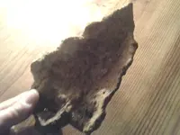 20130227_191131.webp