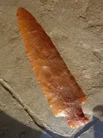 DSCN3122.webp