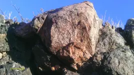 IMAG0954.webp