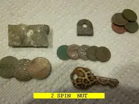 0309NUT.webp