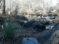 ForumRunner_20130211_190853.webp ForumRunner_20130211_190853.webp