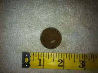 button back.webp