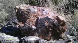 IMAG0300 (2).webp