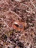 ForumRunner_20130216_220236.webp